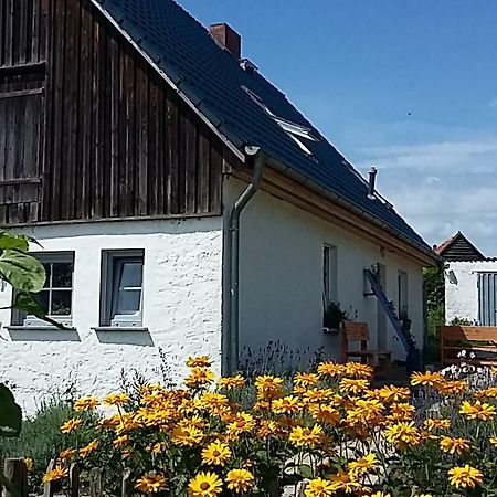 Zum Storchennest Hotel Kemnitz  Екстериор снимка
