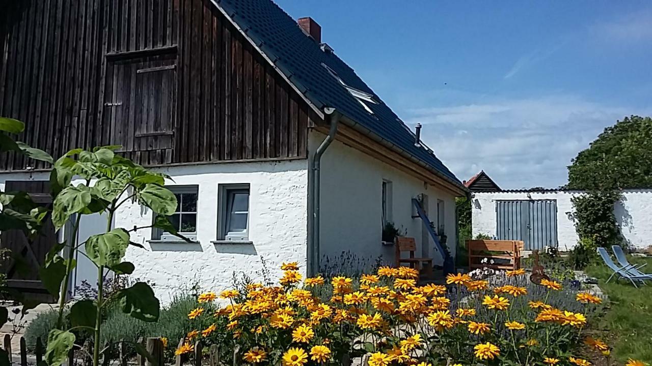 Zum Storchennest Hotel Kemnitz  Екстериор снимка